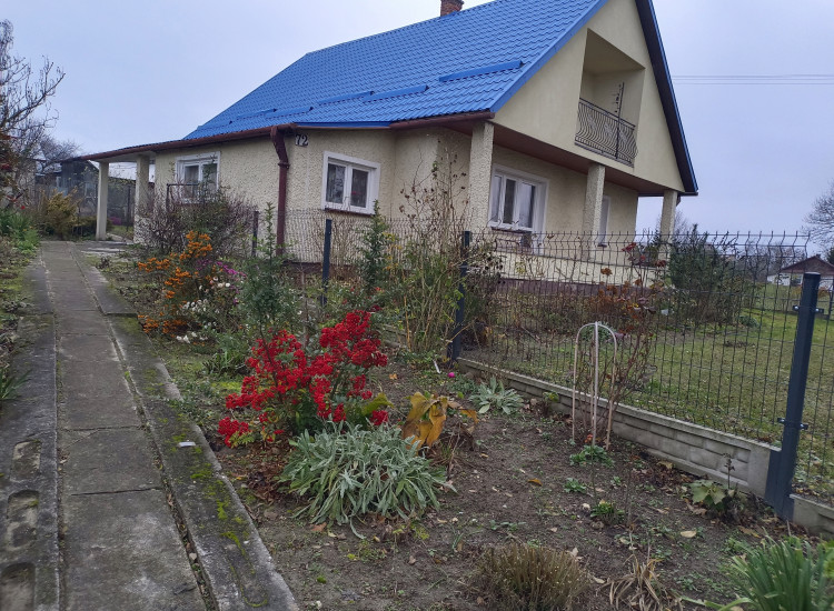 Gospodarstwo siedlisko+ 6ha ziemi Alojzów