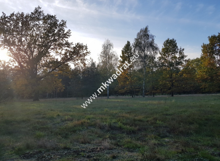 Cicha !! Makówka 1500 m2  + plan zagospodarowania Makówka