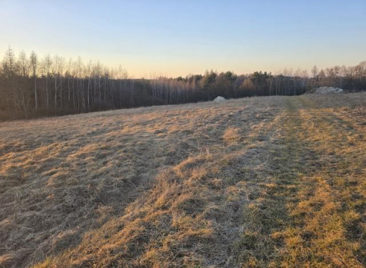 Działka Najdziszów Najdziszów