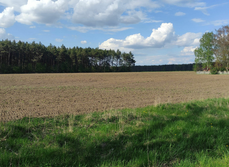 Działka budowlana 1353 m2 Huta Bardzyńska gm. Dalików Huta Bardzyńska