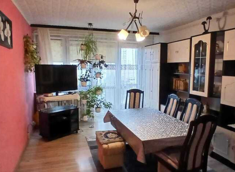2-pokojowe mieszkanie, 48 m² –Szczecin, ul. 9 Maja Szczecin