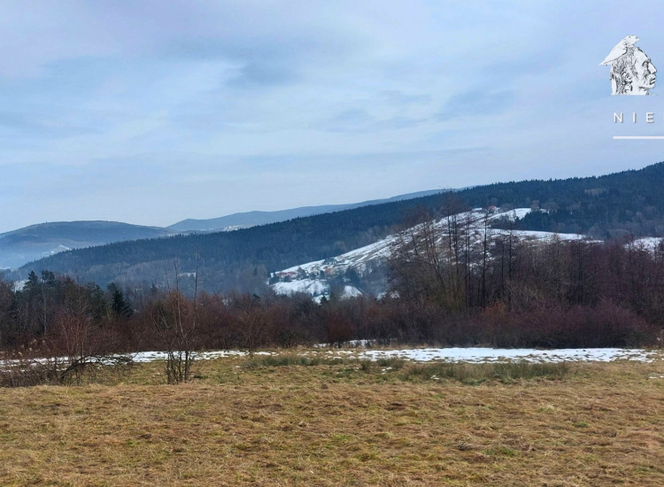 Widokowa działka budowlano-rekreacyjna 66 a – Siary, gm. Sękowa 1171S/2026 Siary