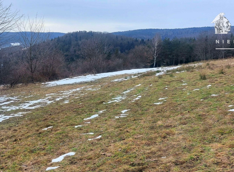 Działka budowlana z panoramą 15 a – Siary, gm. Sękowa 1174S/2026 Siary