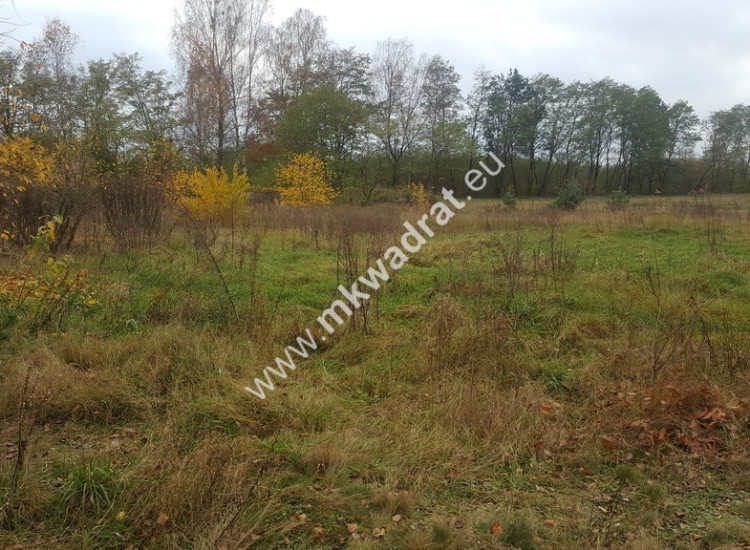 Inwestycyjno-budowlana przy 719 Brwinów  WZ Brwinów