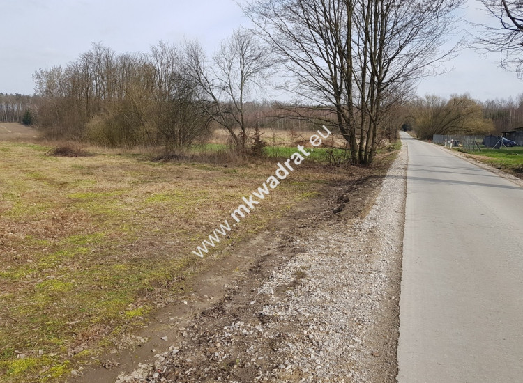 Borszyce gm. Kowiesy działka 11 128 m Borszyce