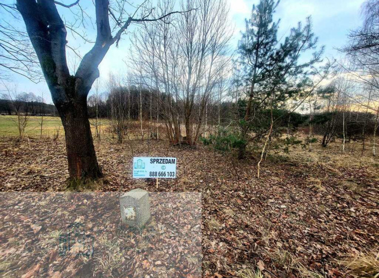 Na sprzedaż dwie sąsiadujące działki – Trzepnica Trzepnica