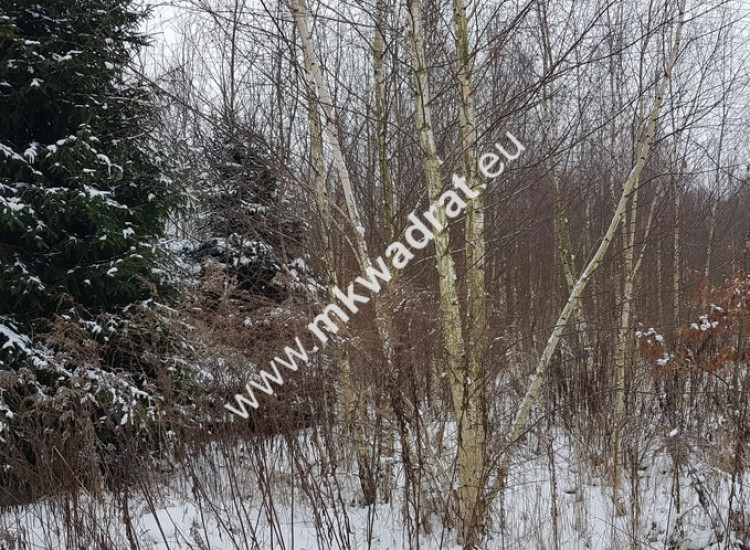 Działka usługowa z MPZP symbol U Super oferta Marków-Towarzystwo