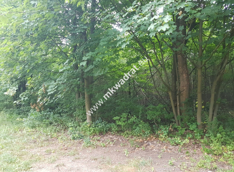 działka siedliskowa przy ulicy gminnej Grzegorzewice