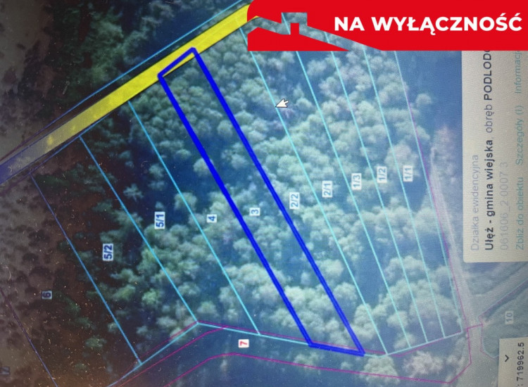 Trzy działki leśne (RL) w Podlodówce gm. Ułęż. Podlodówka