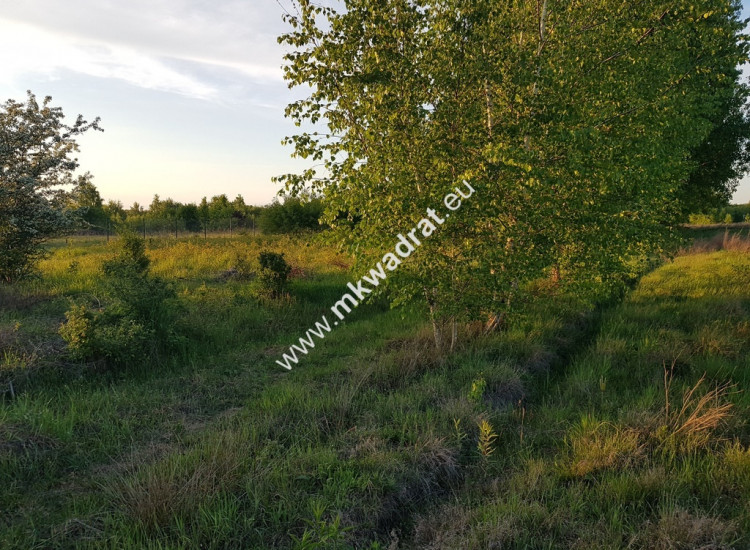 ⭐⭐⭐⭐ Działka 800 m od szkoły MPZP budow-usług ⭐⭐⭐⭐ Radziejowice