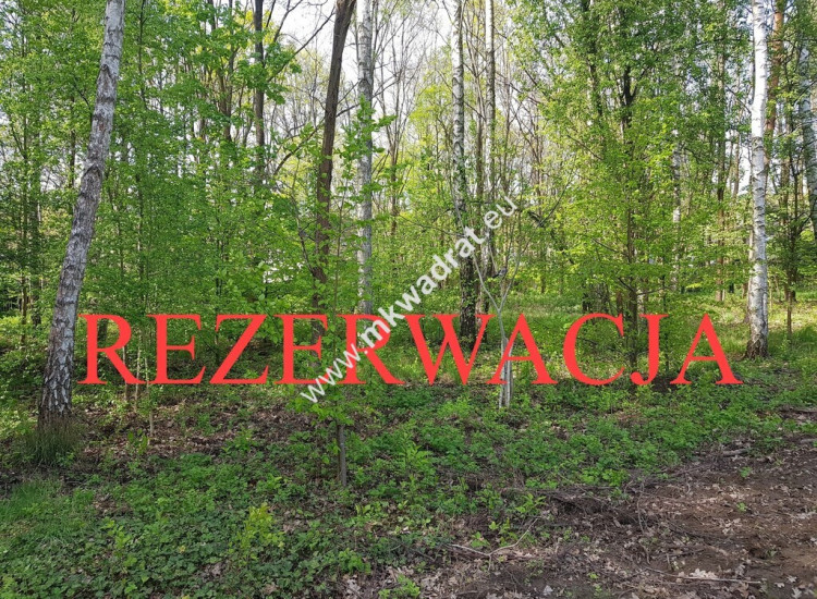 Działka BUDOWLANA - Z PLANEM ZAGOSPODAROWANIA MN Stare Budy Radziejowskie