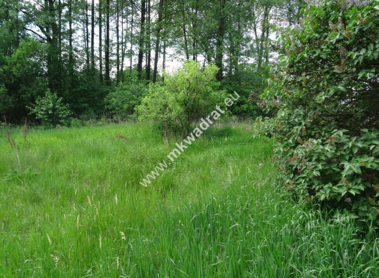 ⭐⭐⭐⭐⭐ Dwie działki 1900 + 3600m2 ⭐⭐⭐⭐⭐ Waleriany