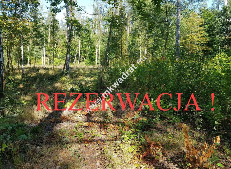 ⭐⭐⭐⭐ SuperDziałka dobra cena przy lesie Młochowski Żółwin