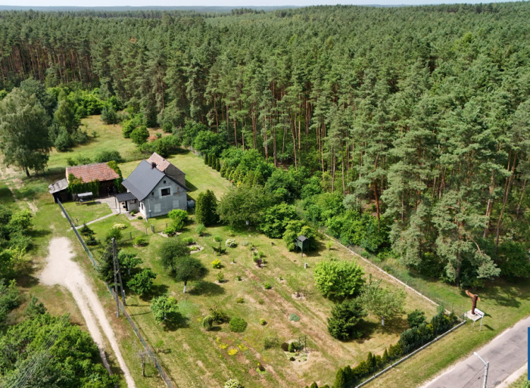Dom Krępa ul.   Krępa