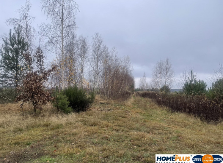 Działka 6443 m² z mediami przy asfaltowej drodze. Pasek