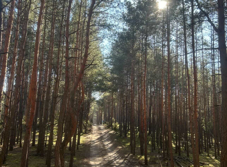 Działka idealna na rekreacje 2361m2 [Łosie gm.Radzymin] Łosie