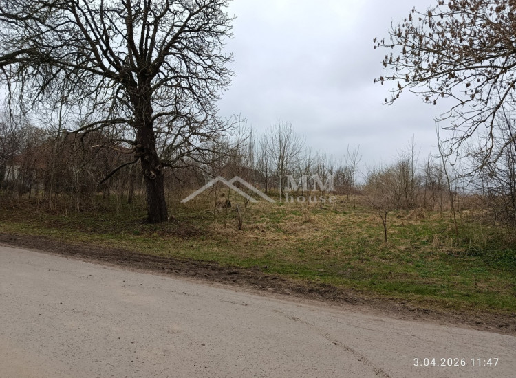 Działka rolna z możliwością zabudowy w Pęciszewie. Pęciszewo