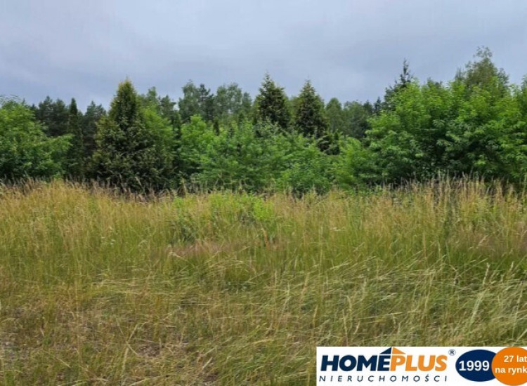 Działka budowlana 4827 m², dogodna lokalizacja Nowe Załubice