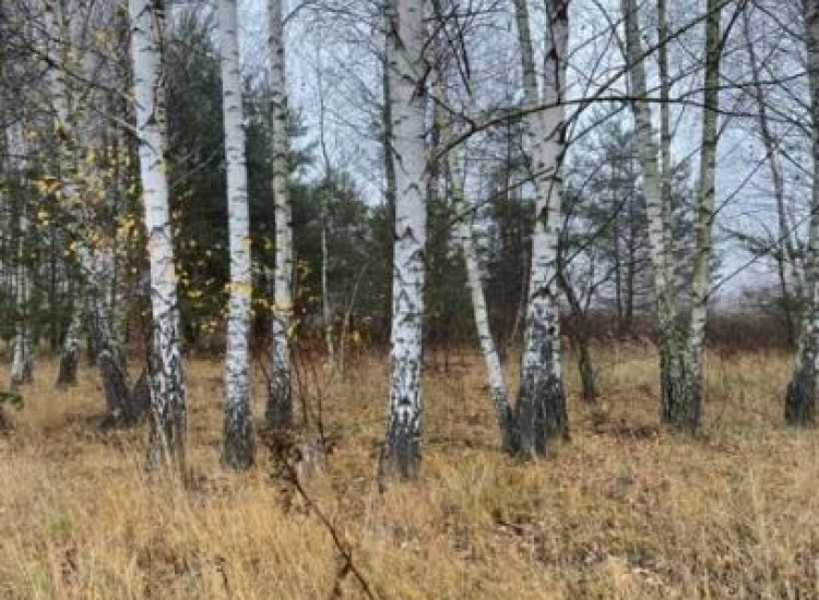 1029 m² działki budowlanej przy prywatnej drodze Słupno