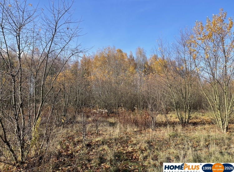 Działka budowlana 5428 m² Słupno – wszystkie media Słupno
