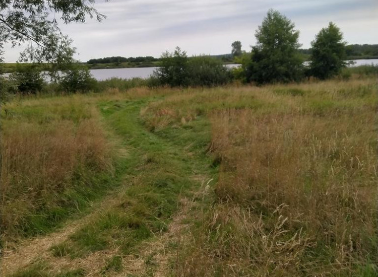 Działka 4211m2,Czarnowo, blisko jezioro,las. Czarnowo
