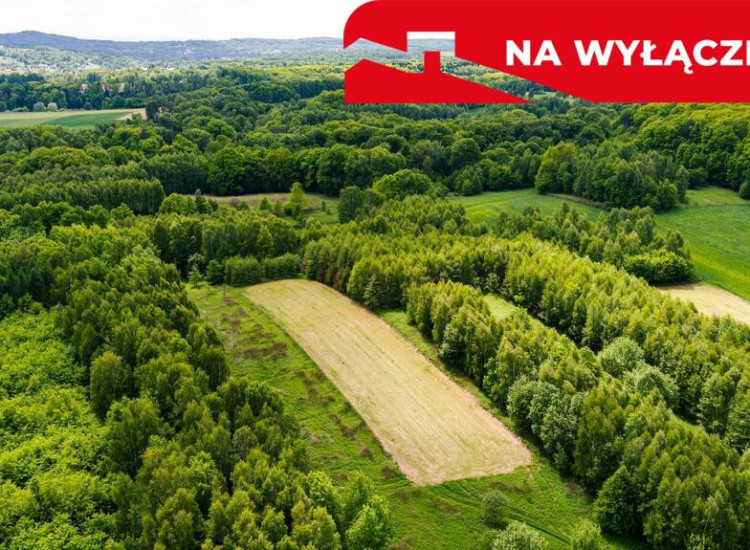 3 działki rolne na sprzedaż | Skrzyszów | 1,56 ha Skrzyszów