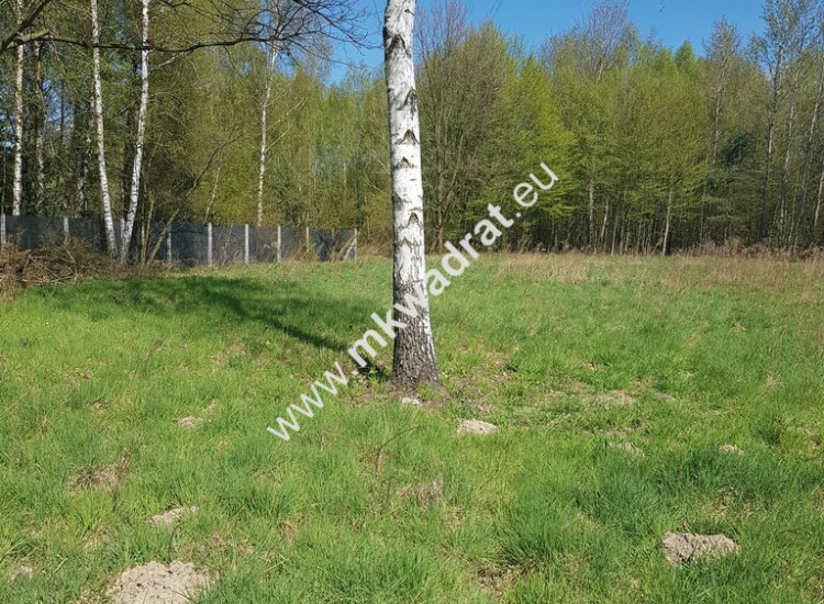 Działka - druga linia zabudowy Budy Mszczonowskie