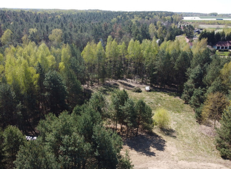 Działka 3117 m2 pośród drzew w Kowali gm. Puławy. Kowala