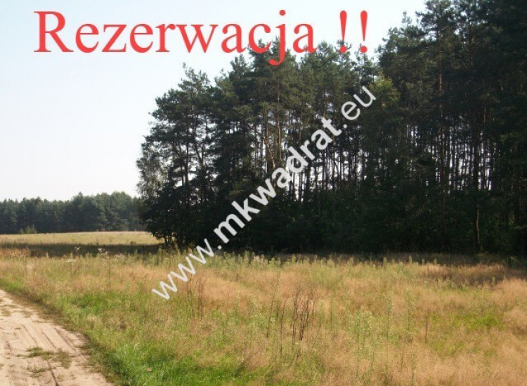 Budy Mszczonowskie działka 2000m2 od mkwadrat.eu Budy Mszczonowskie