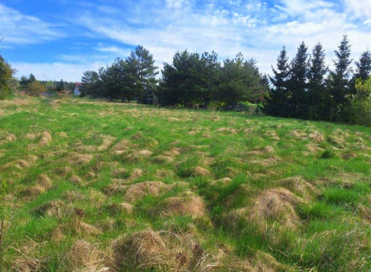 Duża działka w Bystrzycy 3616m2 Bystrzyca