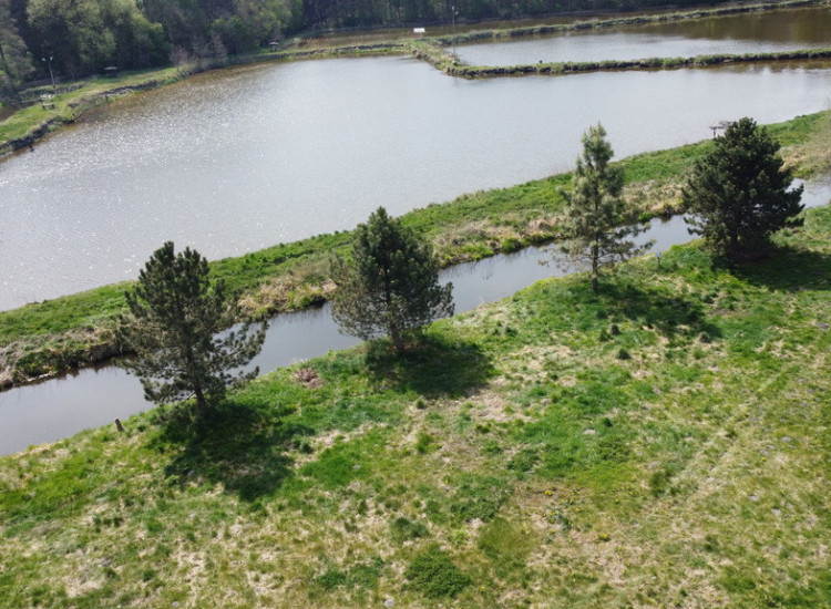 5,42 ha, Stawy rybne, las, Zemborzyce, Lublin Lublin