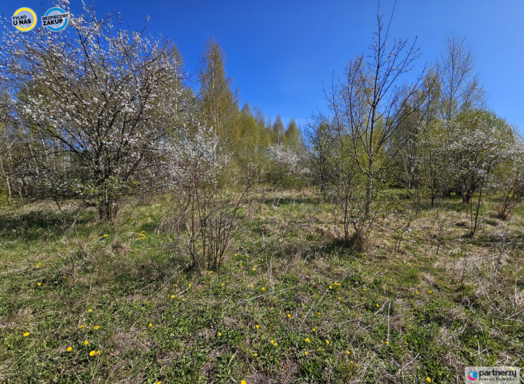 Działka Grabiny-Zameczek ul. Rycerska Grabiny-Zameczek