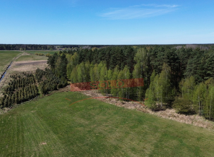Działka rolna 1,67 ha – Grodziec, gmina Ozimek Grodziec