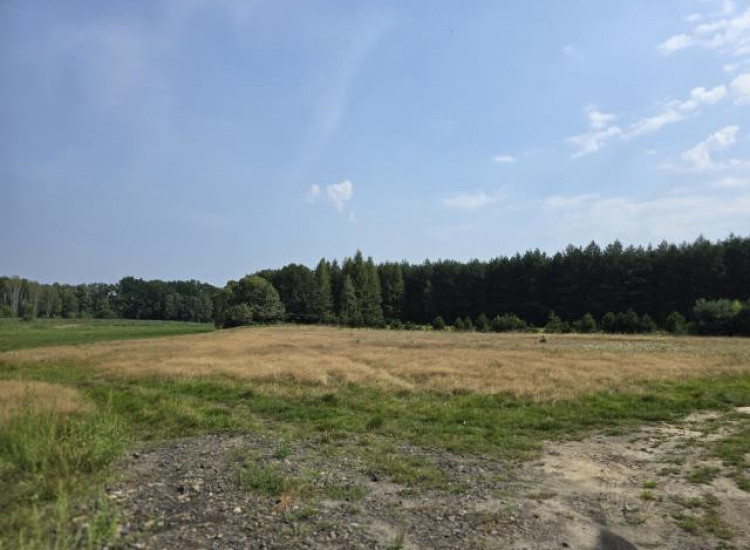 Działka Ożarowice Ożarowice