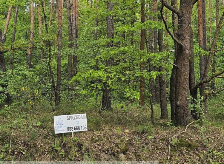 Leśna działka na sprzedaż Mnichowo