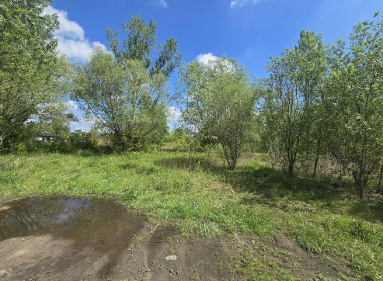 Działka Sosnowiec Pogoń Sosnowiec