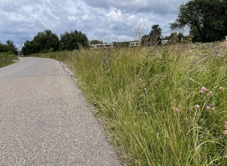 Działka 10 244 m² zabudowa mieszkaniowa i usługi Słupno