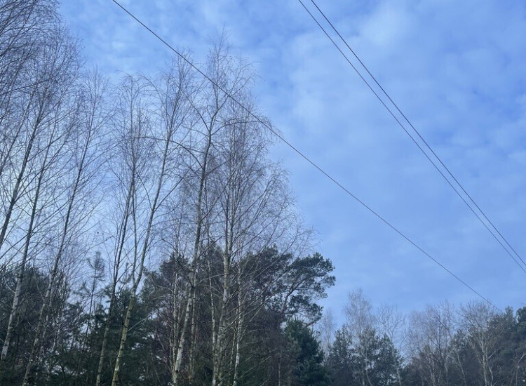 Działka 1000 m² pod zabudowę letniskową. Józefów