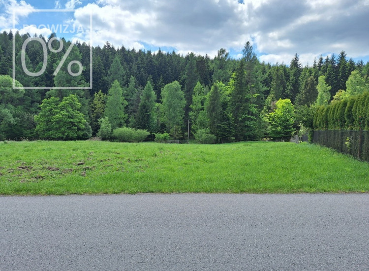 Targoszów | działka 2350 m2 | spokój | las | góry Targoszów