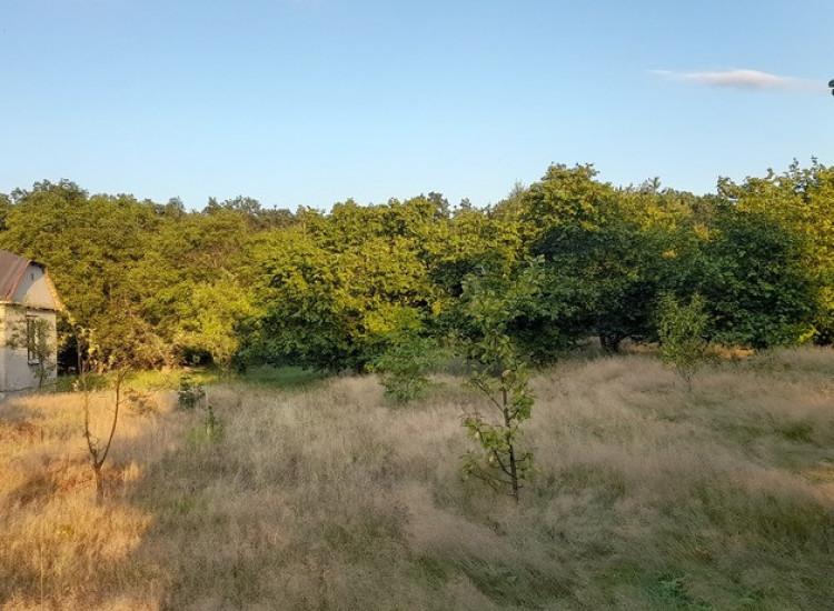 Ładna, uzbrojona działka pod lasem-33a-Wilczopole Lublin