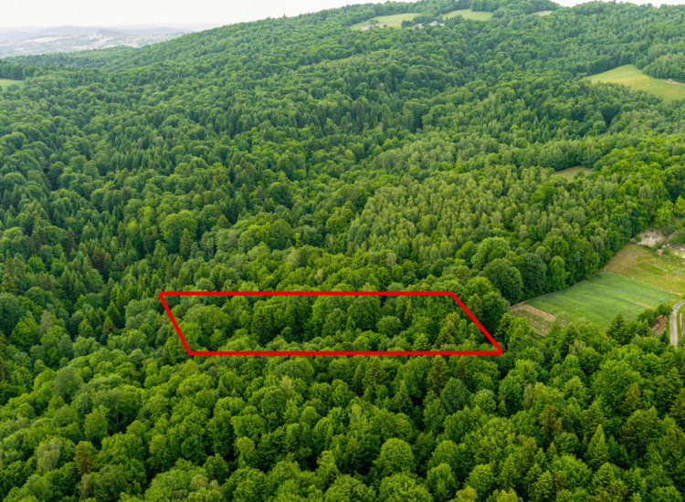 Prywatny las 41 ar – Siemiechów, gm. Gromnik Siemiechów