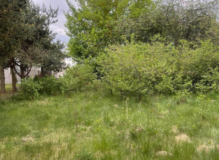 Działka 1,6 ha z domem, media, MPZP – Ruda. Ruda