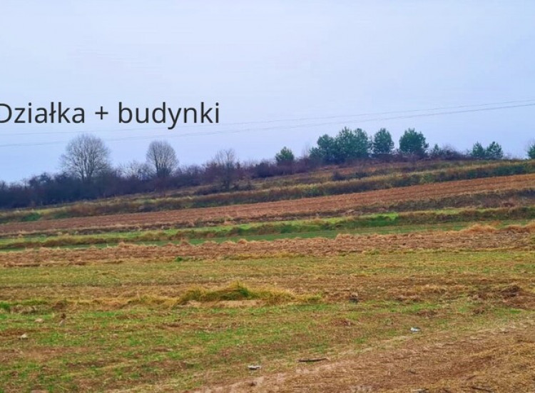 Obiekt produkcyjny z dużą ilością ziemi-gm.Wysokie Wysokie