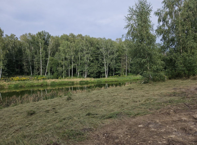 Działka Stare Skoszewy ul.   Stare Skoszewy