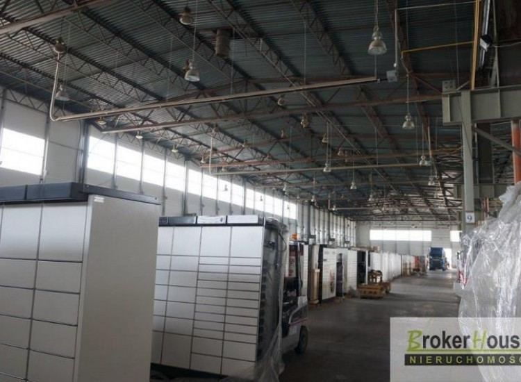 Lokal Opole Opole