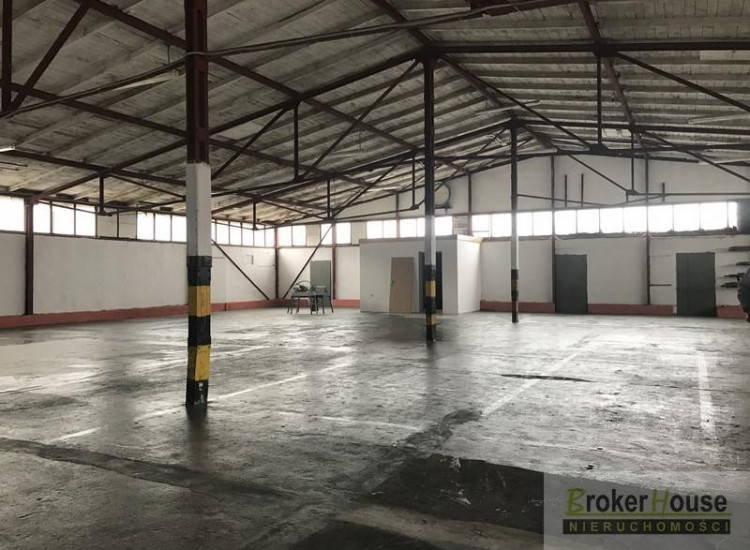 Lokal Opole Opole