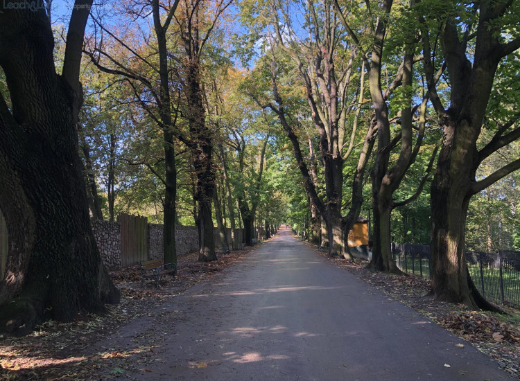 Działka Kraków Zwierzyniec, Salwator ul. al. Waszyngtona, Jerzego Kraków