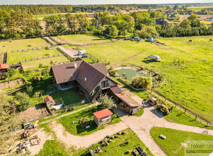Lokal Opole Opole