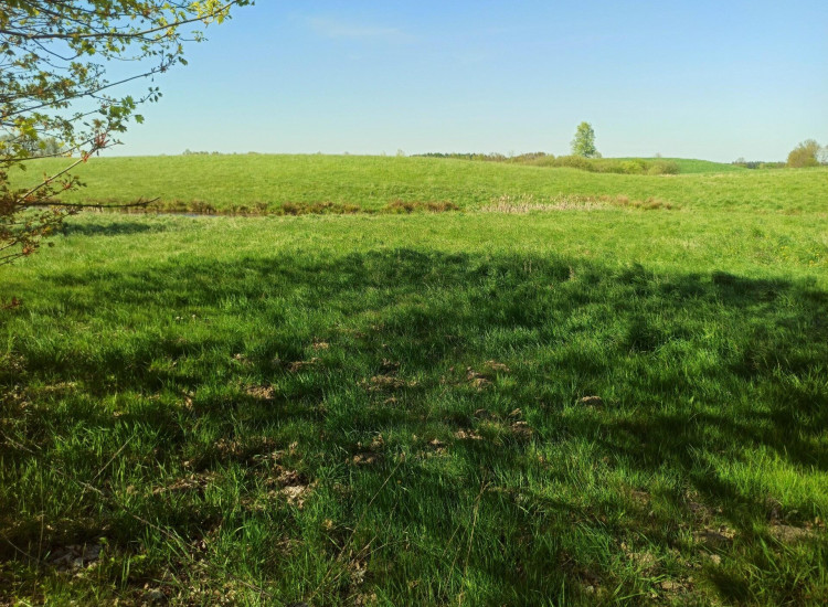 Działka Liwa Liwa