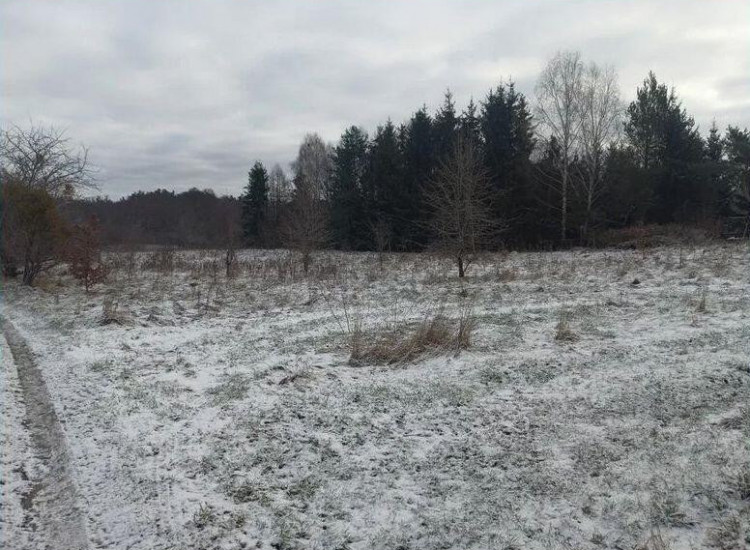 Działka Murawki Murawki